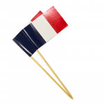 product image 5 | Toothpick Flags